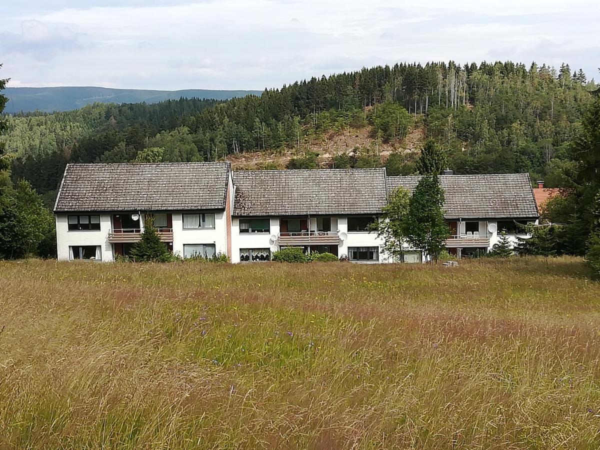 Ferienwohnung Am Kunstberg 29 アルテンアウ エクステリア 写真