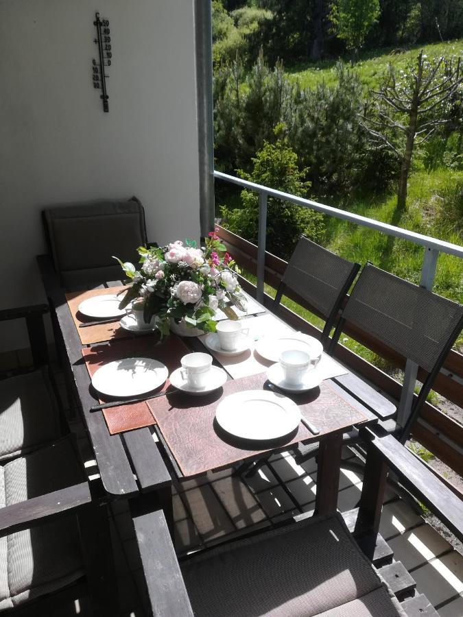 Ferienwohnung Am Kunstberg 29 アルテンアウ エクステリア 写真